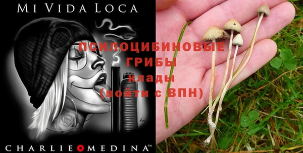 сатива Алексеевка