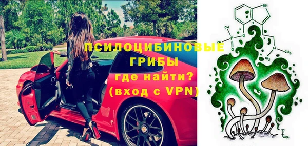 сатива Алексеевка