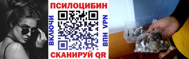 Псилоцибиновые грибы Psilocybine cubensis  Трёхгорный 